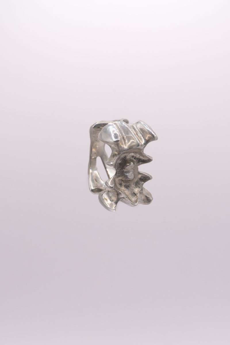 DOUBLE MOLAR